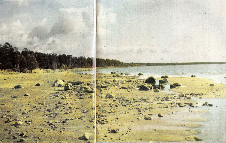 Берег Финского залива близ усадьбы И. Е. Репина