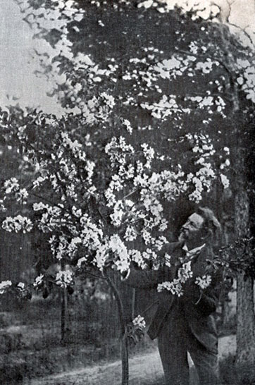 И. Е. Репин у цветущей яблони. Фотография 1900-х гг.