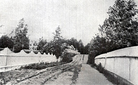 Прямая дорога в Куоккале (Репино). Слева видна Вилла 'Линтула', где в 1904-1905 гг. жил А. М. Горький. Фотография 1900-х гг.